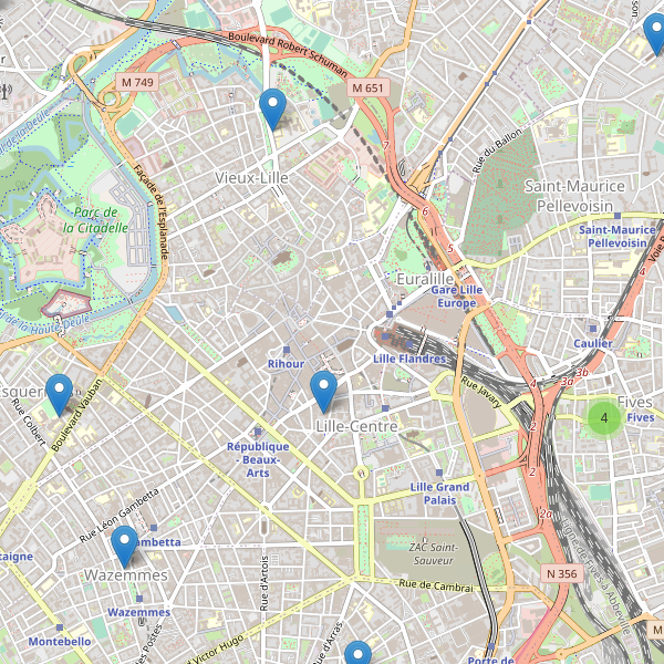 Carte des bibliotheques à Lille Thumbnail