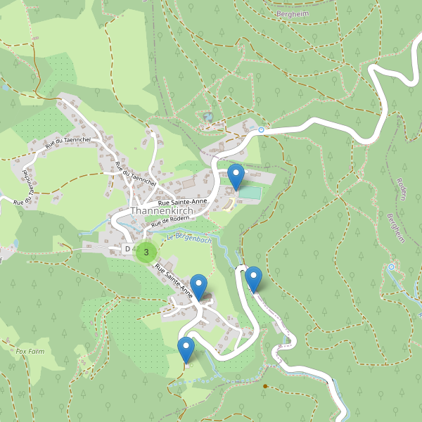 Carte des parkings à Thannenkirch Thumbnail