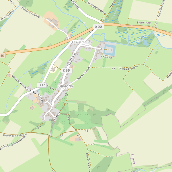 Carte des fastfood à Savigny (Vosges) Thumbnail