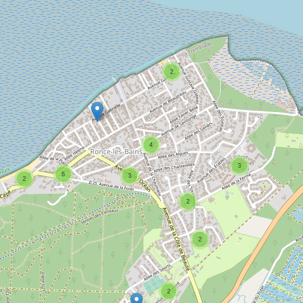 Carte des parkings à Ronce-les-Bains Thumbnail
