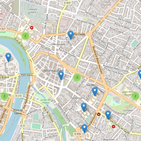 Carte des ecoles à Montauban Thumbnail