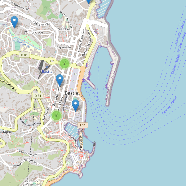 Thumbnail Carte des supermarchés à Bastia